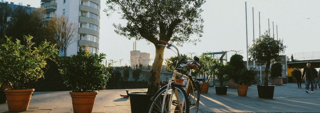 beige bike near plants and trees